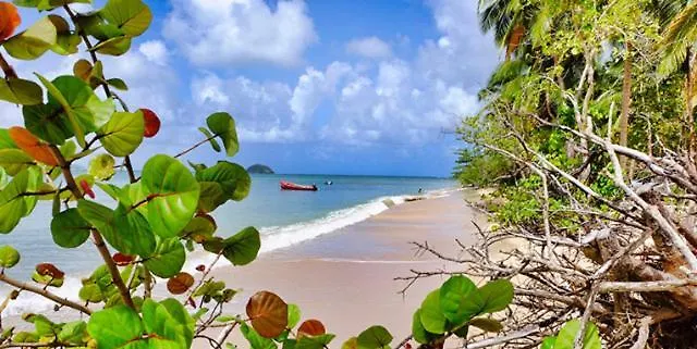 T2 Vue Mer Proche Tartane & Acces Direct Plage La Trinite